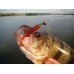 Приманка Crazy Fish Vibro worm 3'' 11-75-M59-6