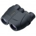 Бинокль Leupold Rogue 10x25 compact black