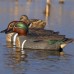 Подсадная утка чирок Flambeau Classic Green Wing Teal комплект 6шт