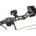 Лук блочный Bear Apprentice 3 RH Realtree RTH