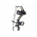 Лук блочный Bear Apprentice 3 RH Realtree RTH