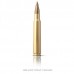 Патрон 30-06Sprg Sellier&Bellot 11.7 HPC эксп