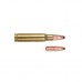 Патрон 308Win Benneke 12 SP