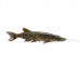 Воблер Savage Gear 4D Line thru pike 25см 105гр SS 01 striped pike