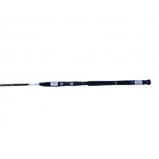 Спиннинг Daiwa BG Boat-Pilk 2,70м 50-150гр