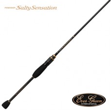 Спиннинг Ever Green Salty sensation PSSS-82T 1,5-24гр
